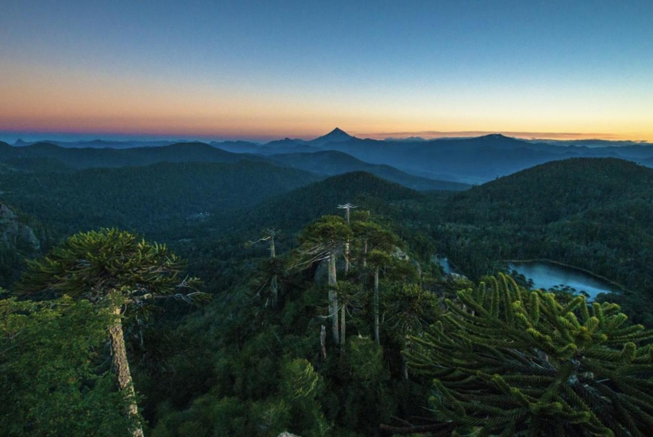 Pucon, La Capital Del Sur De Chile Apartment ภายนอก รูปภาพ