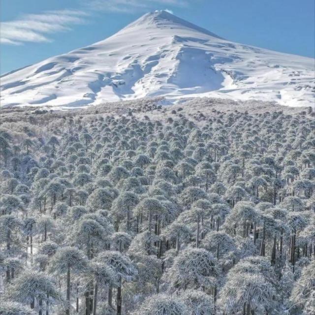 Pucon, La Capital Del Sur De Chile Apartment ภายนอก รูปภาพ
